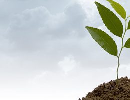Desarrollo de instrumentos para el monitoreo ambiental y territorial en Uruguay