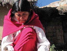 Entre el Ideal de estabilidad laboral y el sueño del negocio propio | Bolivia