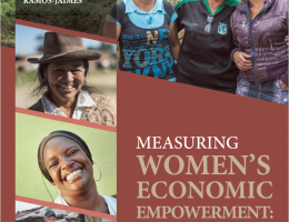 Measuring Women’s Empowerment: Critical Lessons from South America
